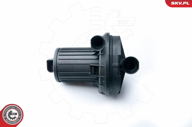 Secondary Air Pump